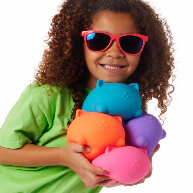 Super NeeDoh Cool Cats - US 9659
