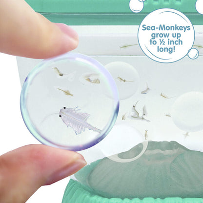 Sea-Monkeys Ocean Volcano - US 3864