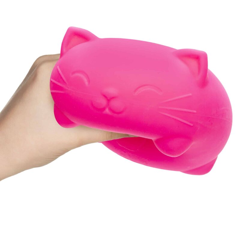 Super NeeDoh Cool Cats - US 9659